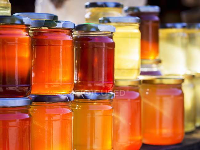 Différents types de miel — Photo de stock