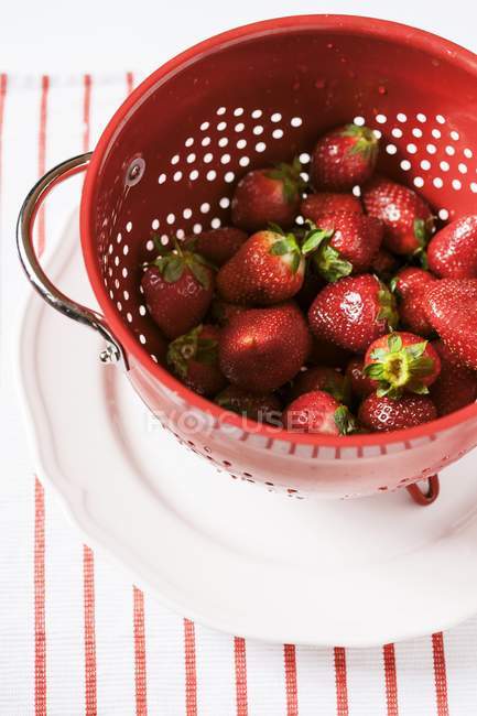 Frisch gewaschene Erdbeeren — Stockfoto