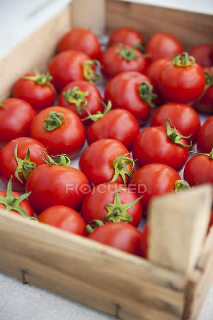 Tomates em caixa de madeira — Fotografia de Stock