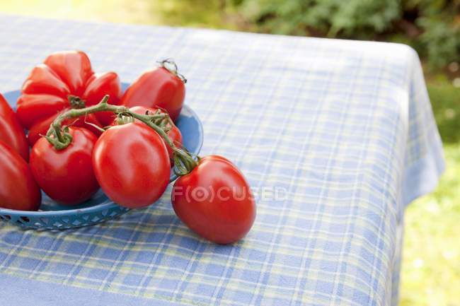Різні червоні помідори — стокове фото