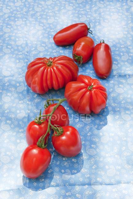 Varios tomates rojos - foto de stock