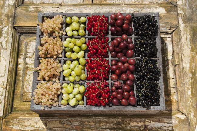 Assorted berries in crate — Stock Photo