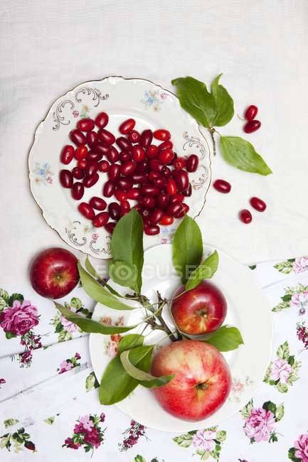 Cornel cherries and apples with leaves — Stock Photo