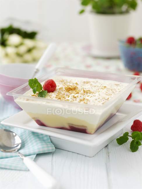 Trifle con lamponi — Foto stock