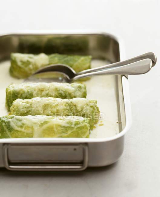 Rolled savoy cabbage leaves — Stock Photo