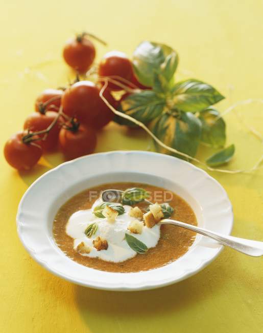 Tomato soup with sour cream, basil and croutons  on white plate with spoon over yellow surface — Stock Photo