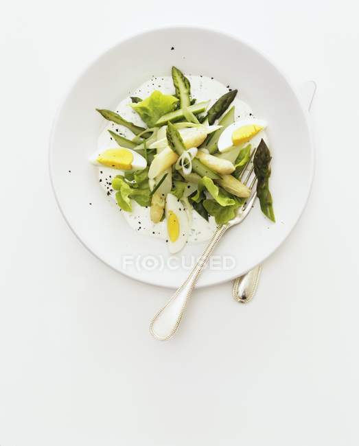 Salada de espargos com fatias de ovo na placa — Fotografia de Stock