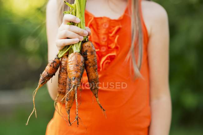 Chica sosteniendo zanahorias - foto de stock