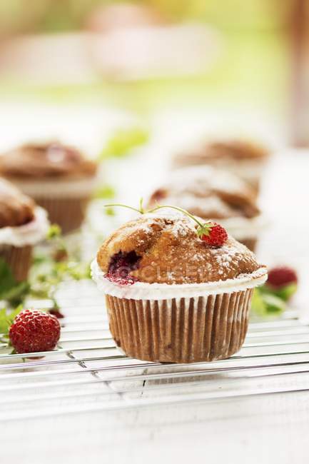 Strawberry muffins with icing sugar — Stock Photo