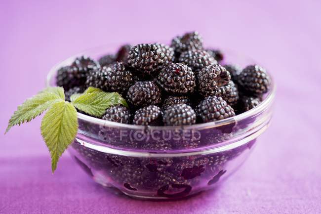 Blackberries in glass bowl — Stock Photo