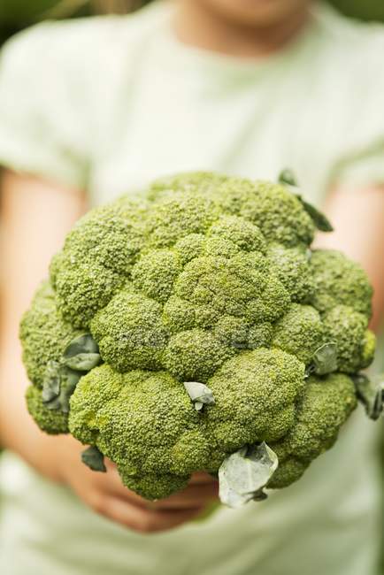 Broccoli per bambini — Foto stock