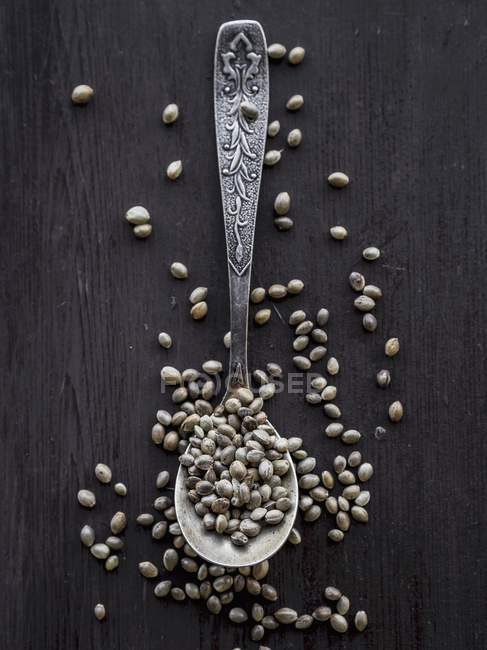 Cannabis grains on a teaspoon — Stock Photo