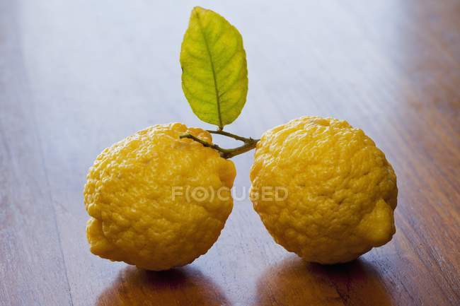 Лимоны с листьями и стеблем — стоковое фото