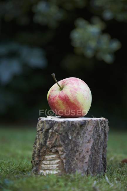Свіжі взяв яблуко — стокове фото