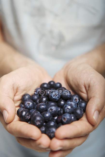 Male hands holding blueberries — Stock Photo