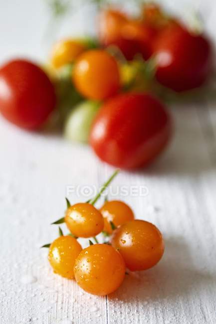 Свежие разноцветные помидоры — стоковое фото