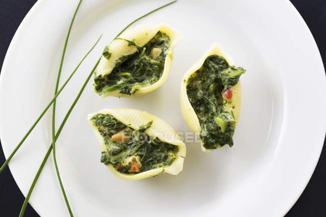 Shell pasta with spinach — Stock Photo