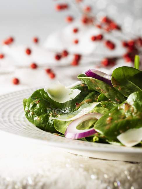 Salade d'épinards à la vinaigrette aux canneberges — Photo de stock