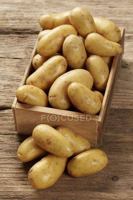 Charlotte potatoes in wooden box — Stock Photo