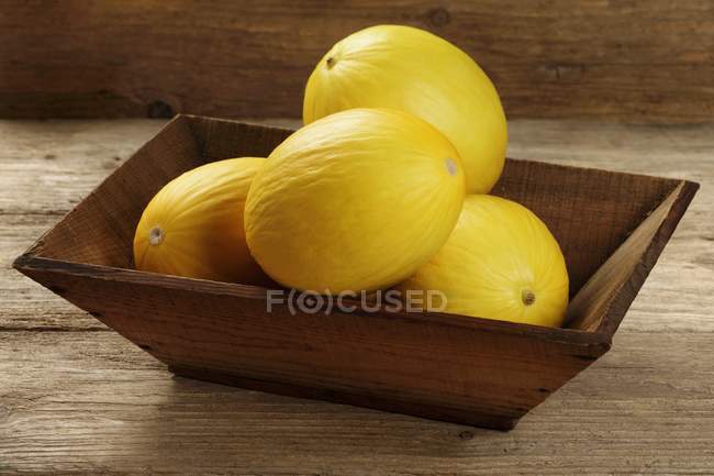 Fresh honeydew melons — Stock Photo