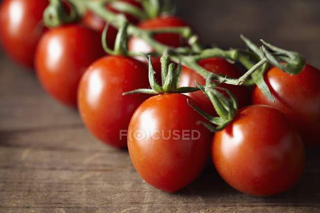 Tomates de vid roja - foto de stock