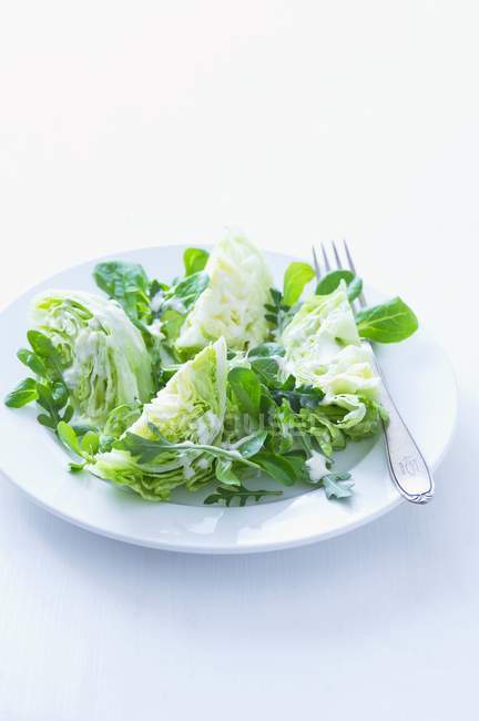 Salad leaves with yoghurt — Stock Photo