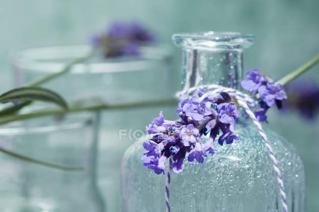 Closeup view of lavender sprig on bottle of scented oil — Stock Photo
