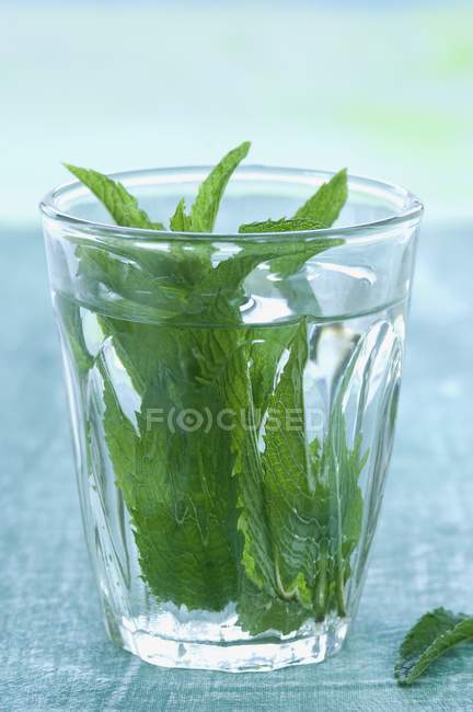 Menthe poivrée dans un verre d'eau — Photo de stock