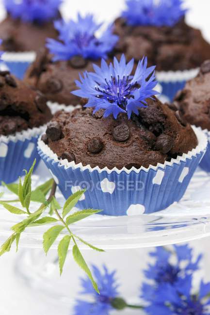 Schokoladenmuffins mit Kornblumen — Stockfoto