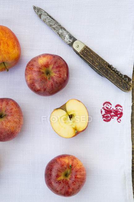 Pommes Royal Gala rouge — Photo de stock