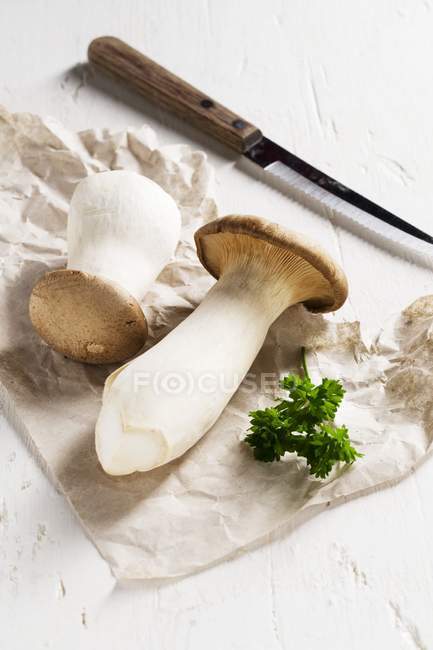 Король труба грибами — стокове фото