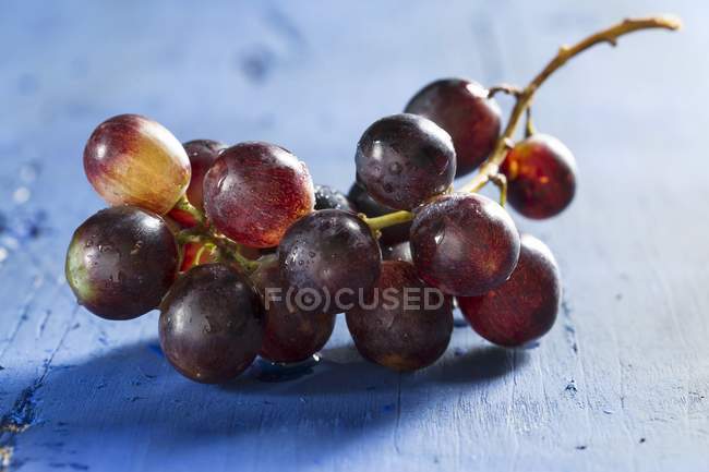 Fresh bunch of grapes — Stock Photo
