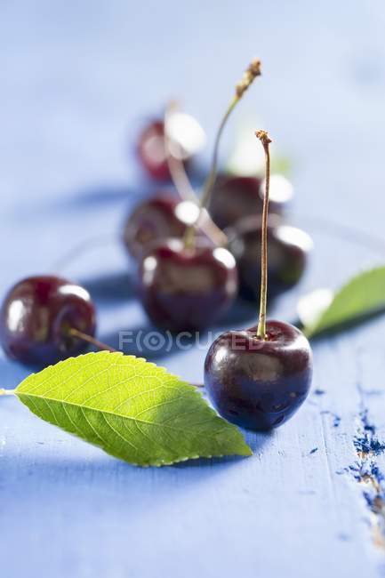 Сладкие вишни с листьями — стоковое фото