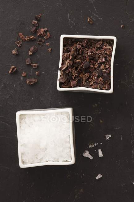 Nibs de cacao et sel de mer — Photo de stock