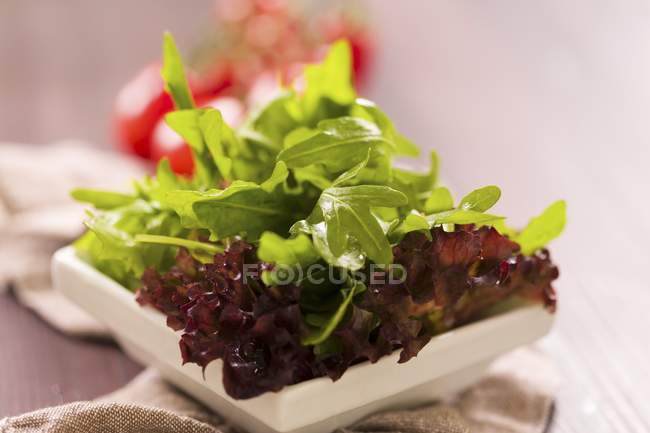 Folhas de salada mistas em tigelas quadradas — Fotografia de Stock
