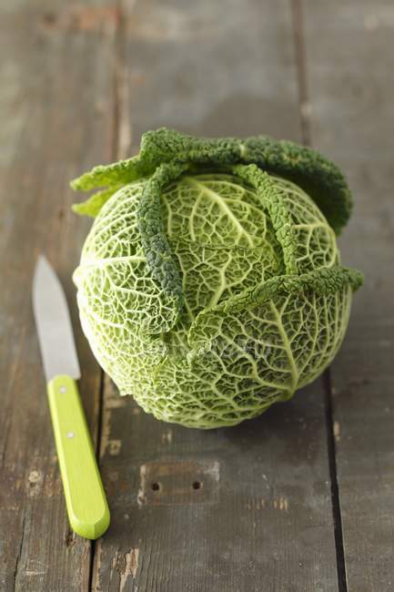 Fresh young savoy cabbage — Stock Photo