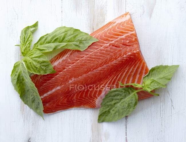 Filete fresco de salmón - foto de stock