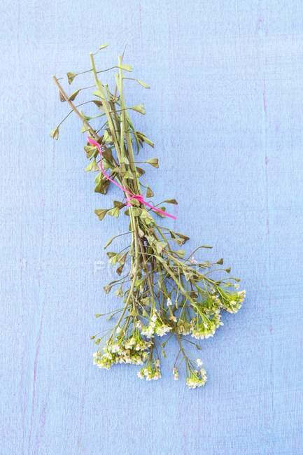 Vista sopraelevata di capsella fresca legato mazzo con fiori — Foto stock