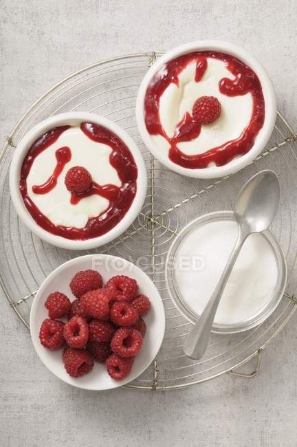 Panna cotta with raspberry sauce — Stock Photo
