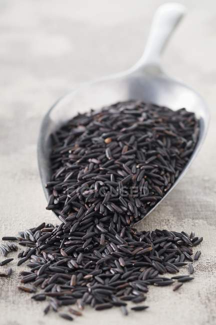 Schwarzer getrockneter ungekochter Reis — Stockfoto