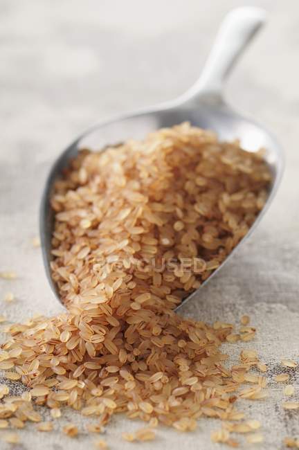 Різ-тіг сушений неварений рис — стокове фото