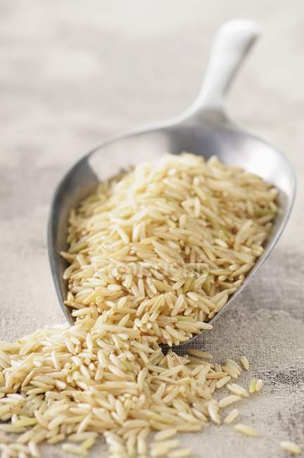 Brown dried uncooked rice — Stock Photo