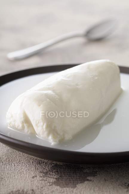 Mozzarella in salamoia su piatto — Foto stock