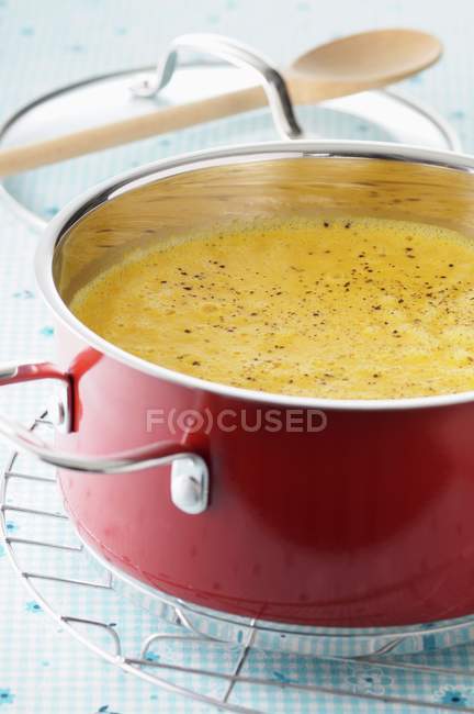 Суп из сквоша в кастрюле — стоковое фото