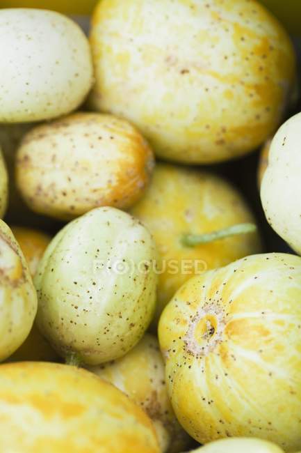 Органические лимонные огурцы — стоковое фото