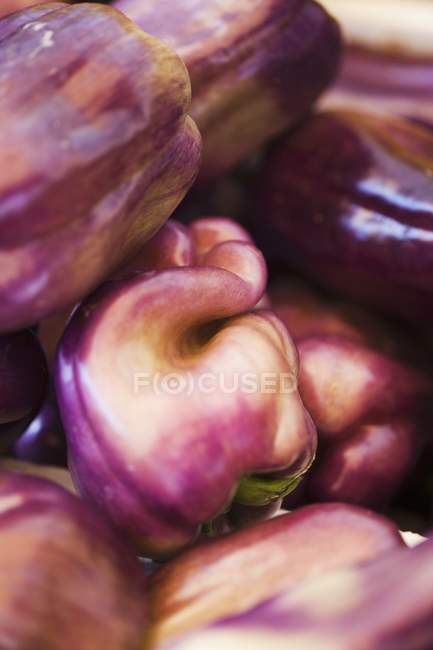 Poivrons violets frais — Photo de stock