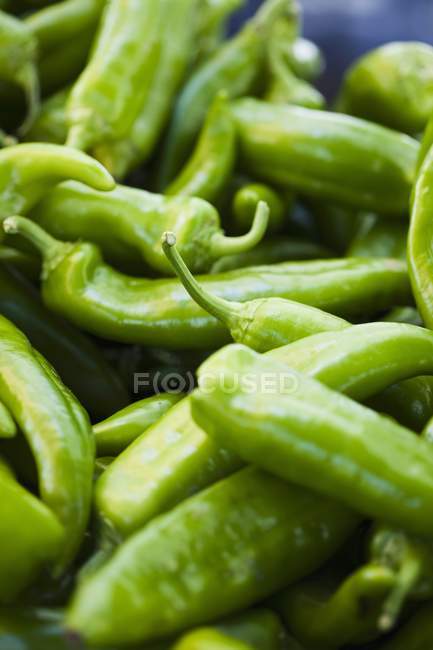 Green Chili Peppers — Stock Photo