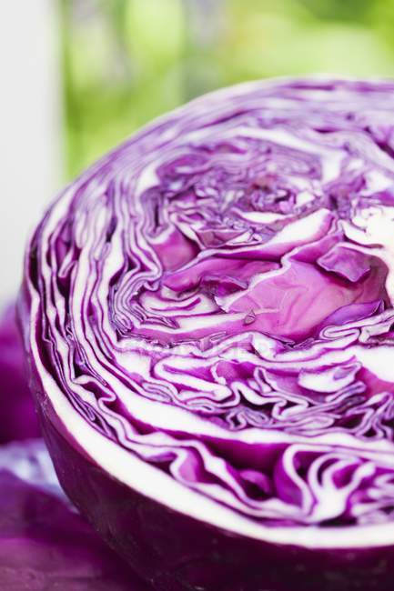 Половина свіжого Purple капусти — стокове фото