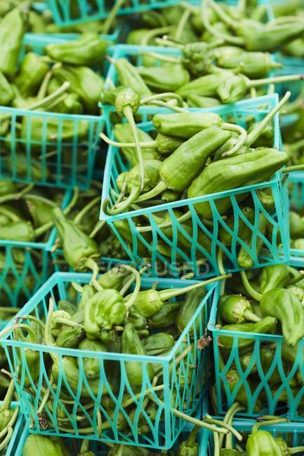 Пластикові кошики зелений Anaheim Chilis на ринки фермерів — стокове фото