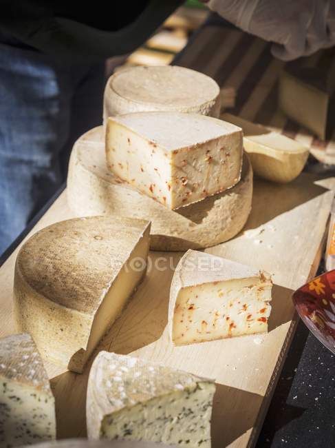 Ассортимент грузинских сыров — стоковое фото
